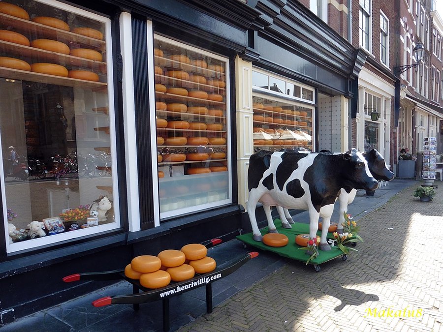 Delft_9