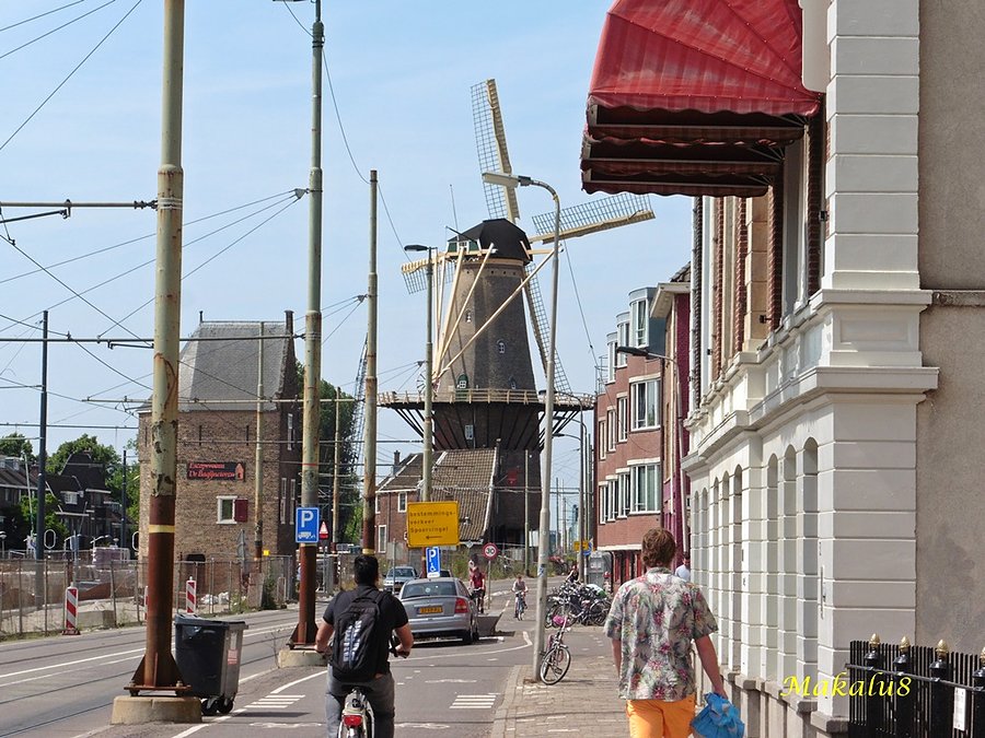 Delft