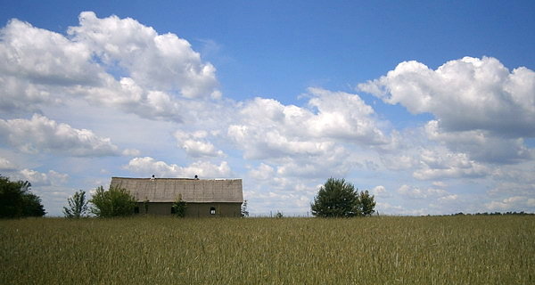 Stodoła