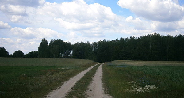 Tuż za Styrzyńcem