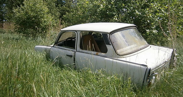 Trabant w polu
