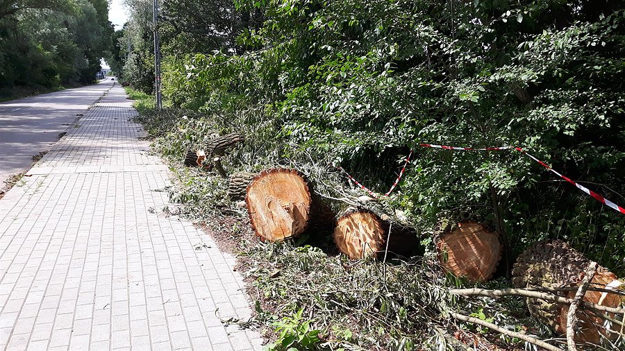 Skutki wichury w Falentach