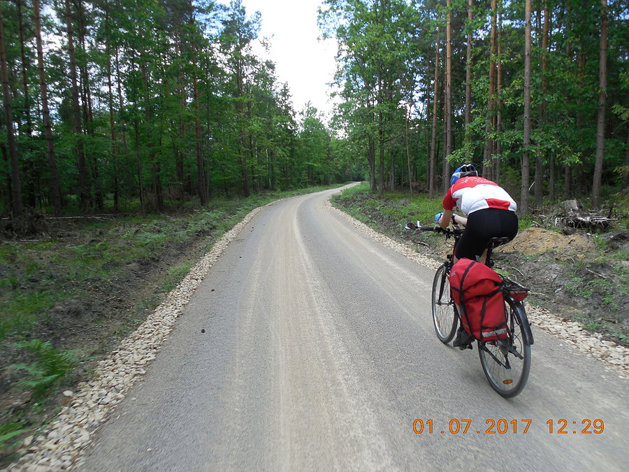 Na drodze pożarowej nr 6
