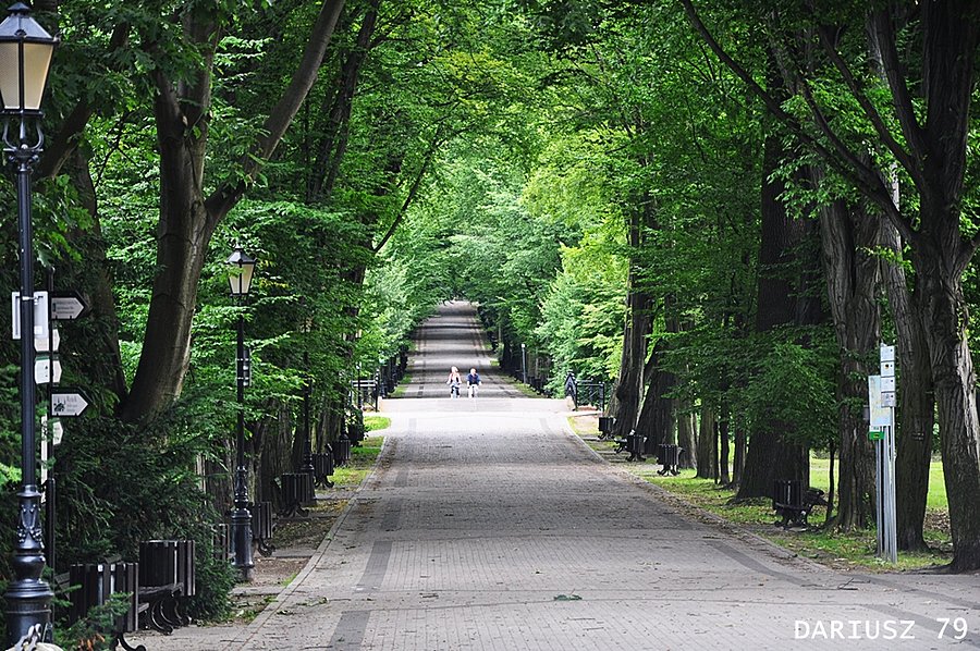 Pszczyna - Park Zamkowy