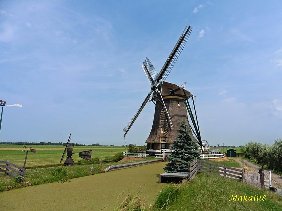 Zwammerdam