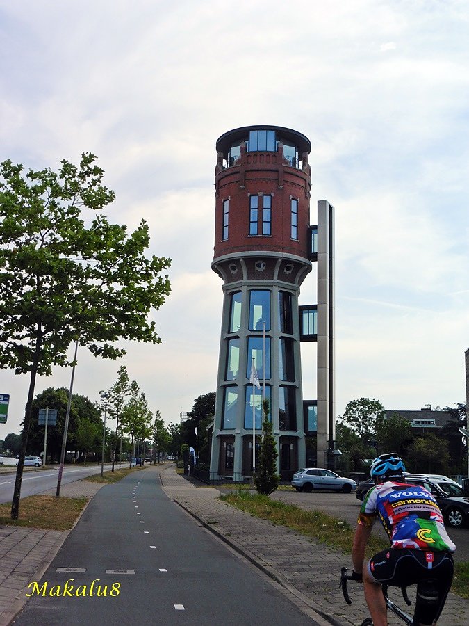 Rijndijk