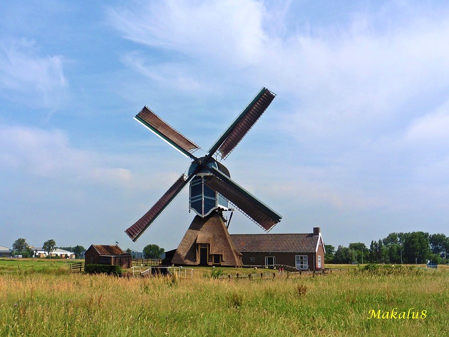 Kręcił się - Groote Molen (1626)