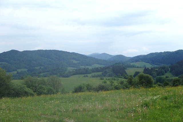 Widok na Bieszczady z Przełęczy nad Kiełczawą
