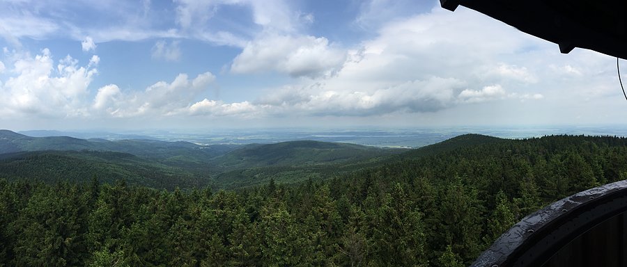 Panorama z wieży