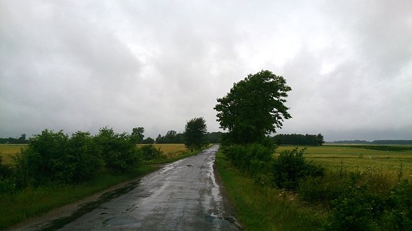 Lokalne drogi