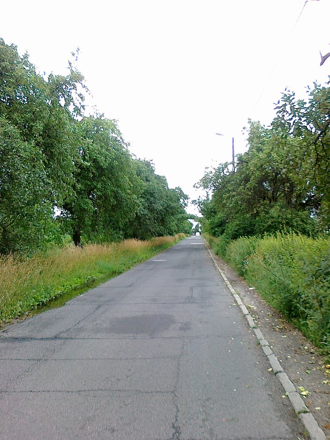 Dawno nie jechałam drogą między jabłonkami