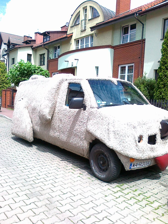 Auto- piesek Wardęgi tym razem w całej okazałości