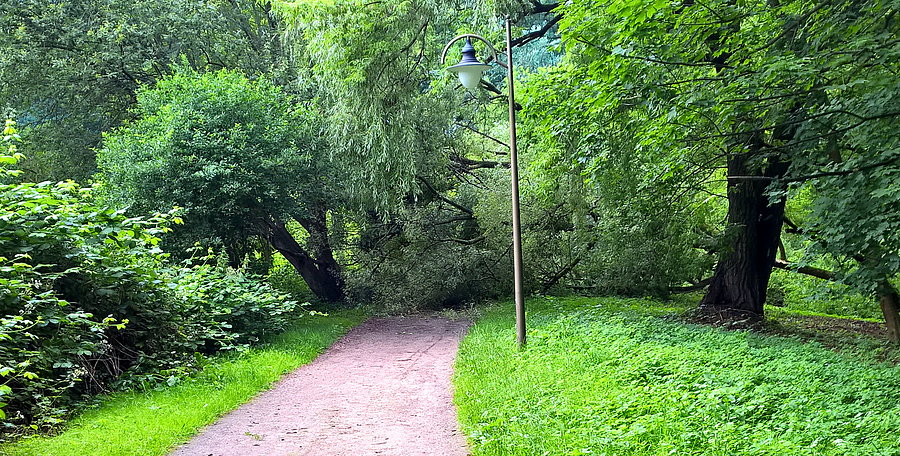 Główna aleja parkowa prowadząca do pętli tramwaju nr 3