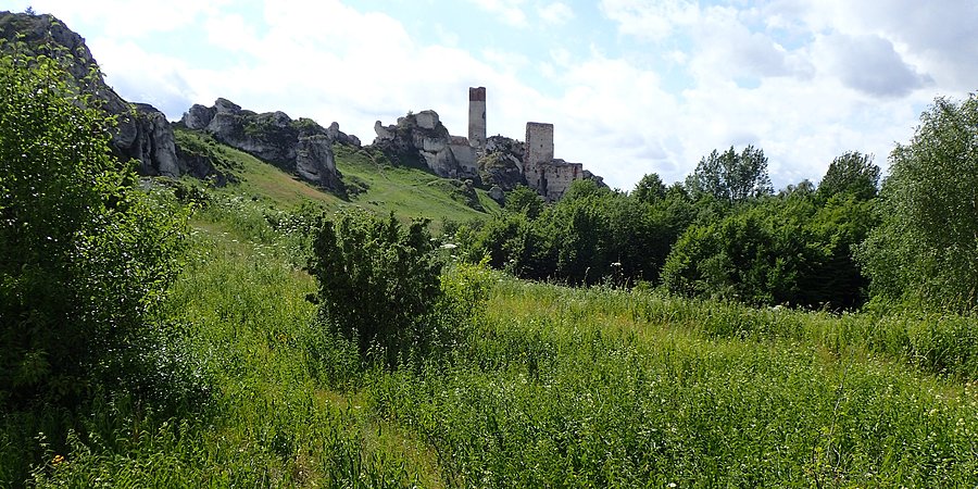 Zamek w Olsztynie
