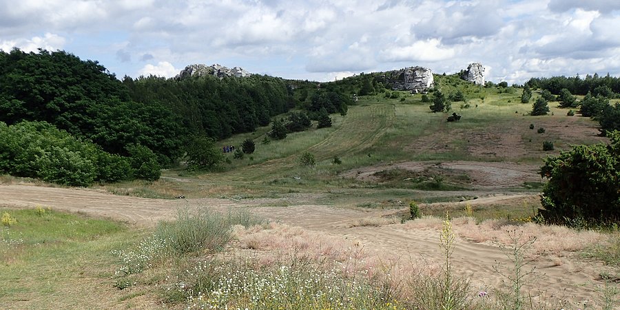 Skałki w Olsztynie