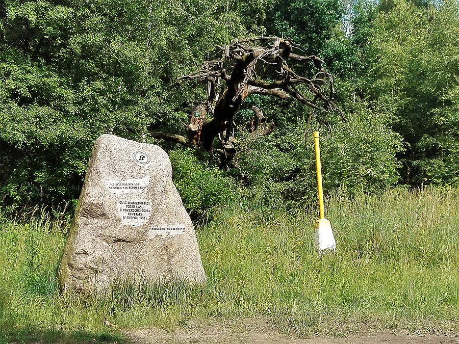 Głaz upamiętniający pożar w Puszczy Zielonka w 1992 r