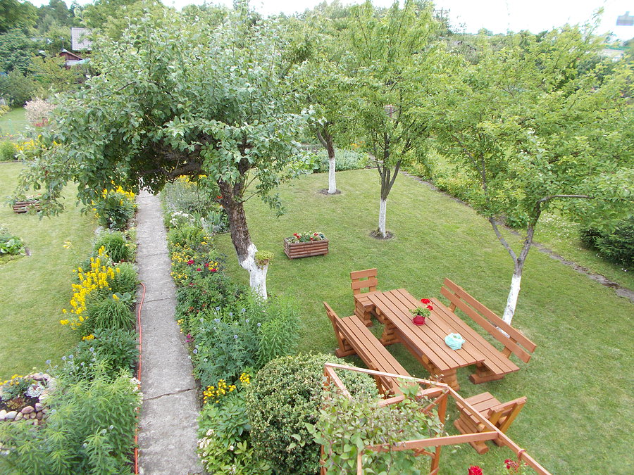 Działka Dareckiego
