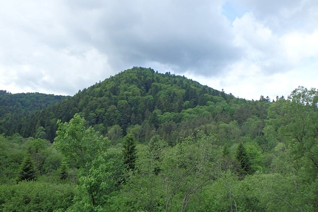 Szczyt Dzidowa (713 m n.p.m.) niedaleko miejscowości Bystre