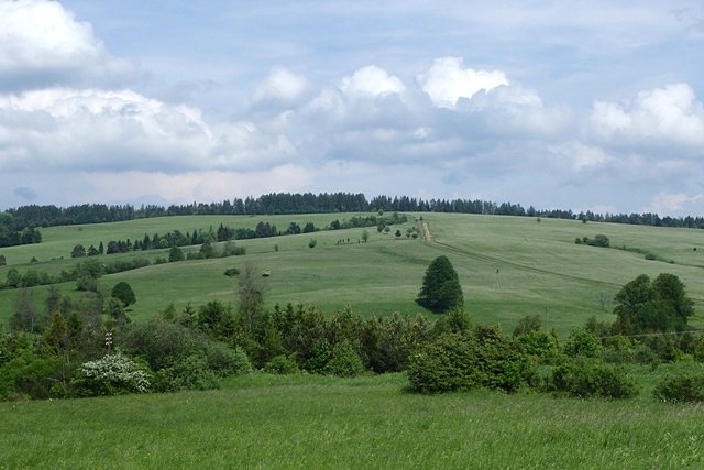 Okolice Osławicy