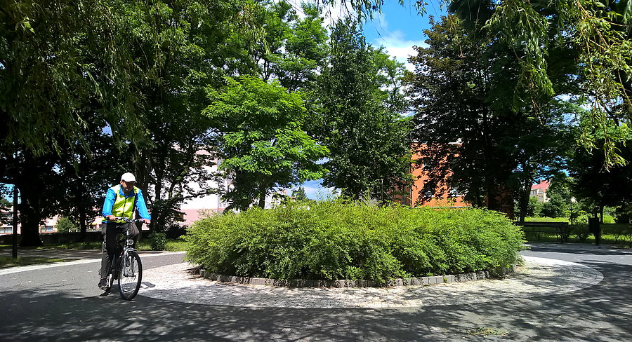 Kuba wokół klombu w Policach