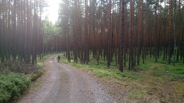 Gdzieś na szlaku