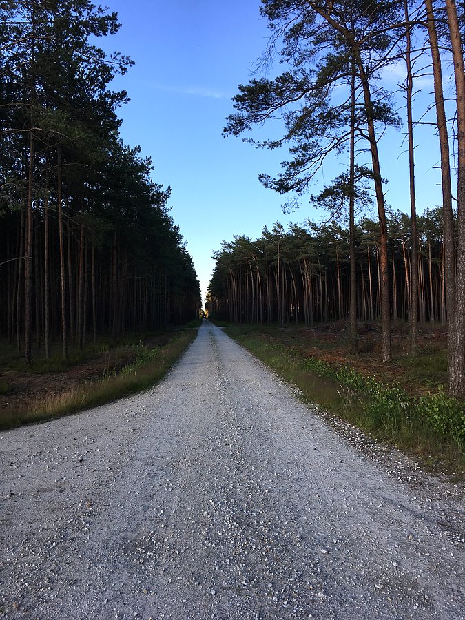 Biała droga