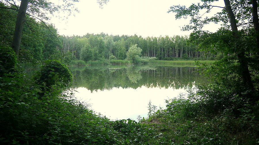 To nie polodowcowe, to pocegielniane