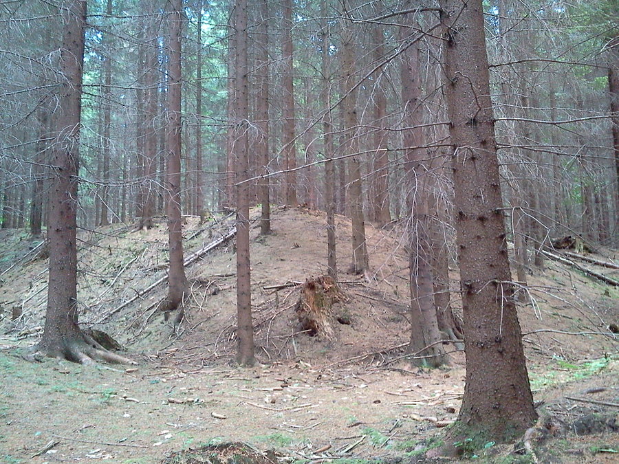 Szaniec Na Hradku