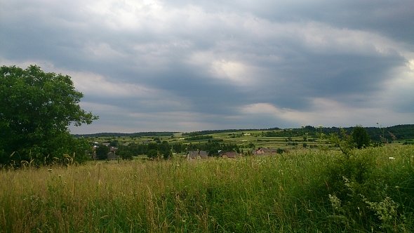 Pola koło Zwierzyńca