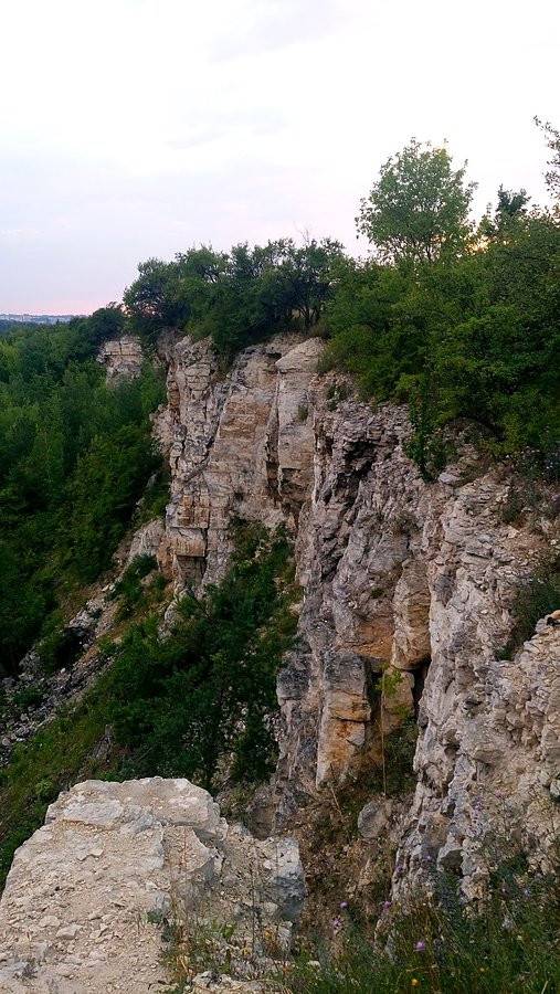 Kamyki