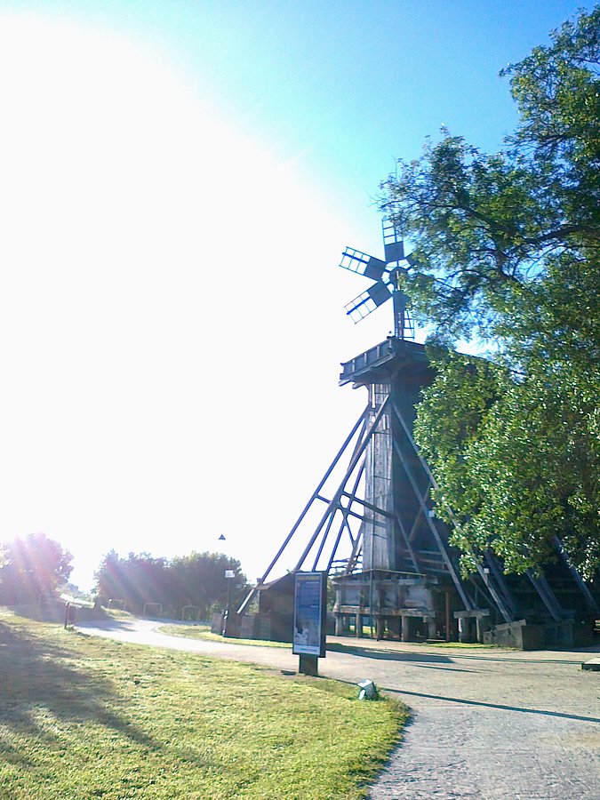 Pod tężniami