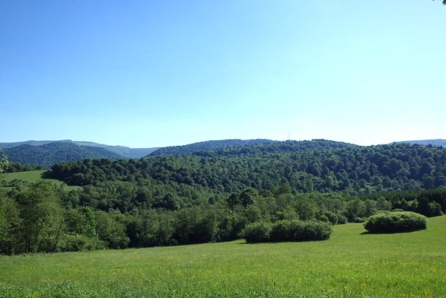Okolice Zatwarnicy