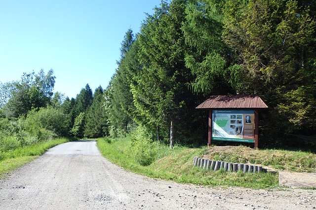 Na terenie rezerwatu "Hulskie"