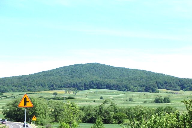 Wroczeń 498 m n.p.m. - Pogórze Dynowskie niedaleko Pakoszówki