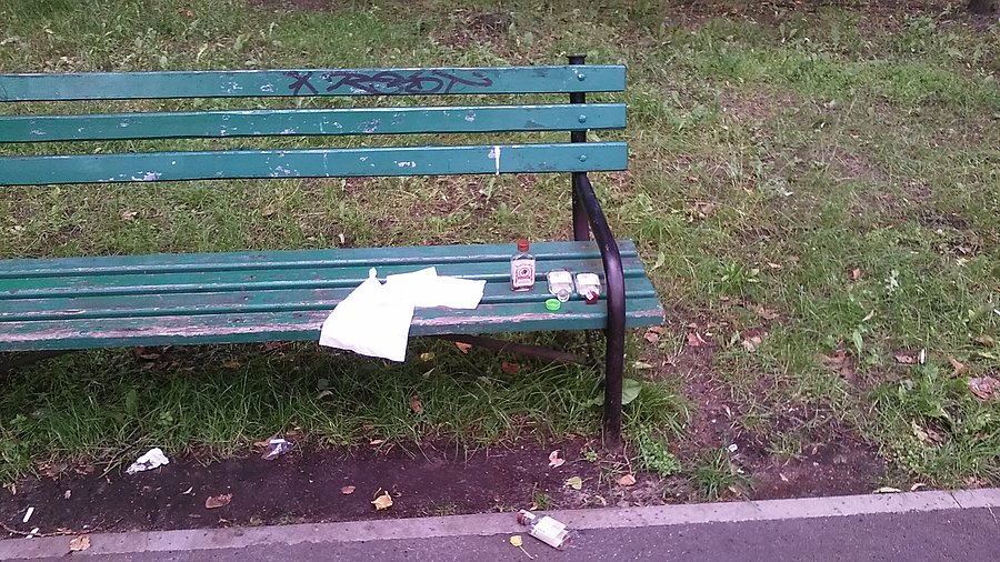 Park na Zdrowiu