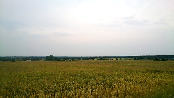 Pola w Osmolicach