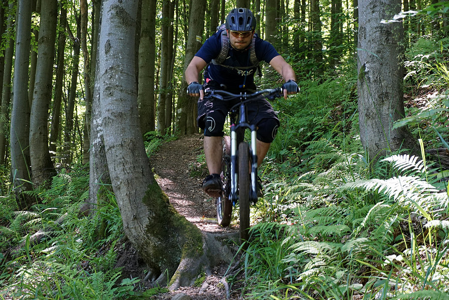 Janusz Hill