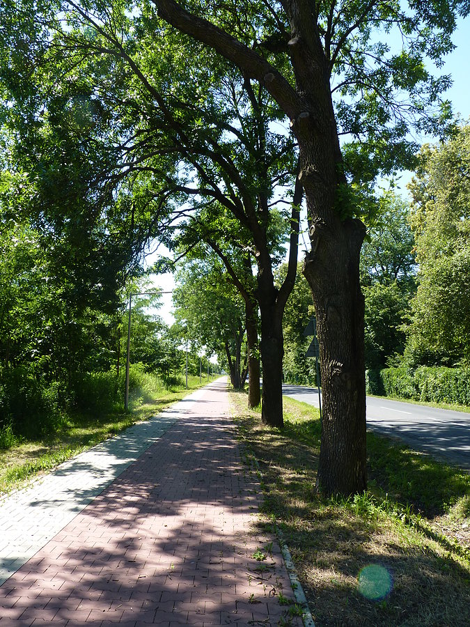 Strzykuły - Kaputy