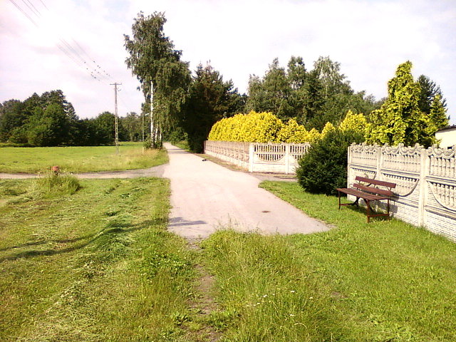 Początek cywilizacji
