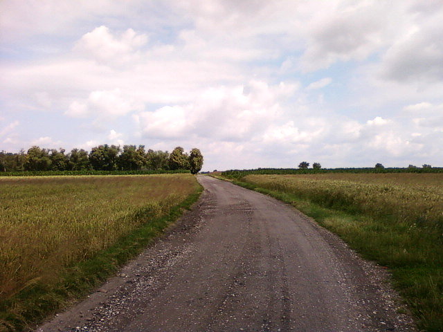 Droga na Florentynów