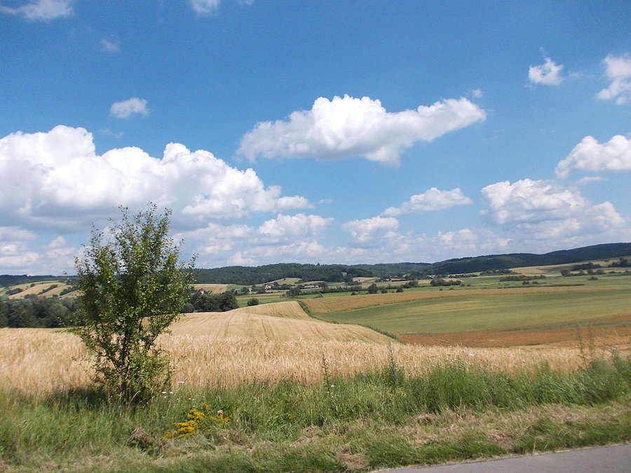 Roztoczńskie klimaty