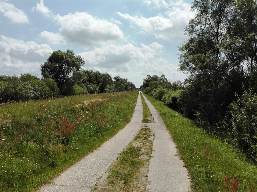 Wał przeciwpowodziowy za Wymysłowem