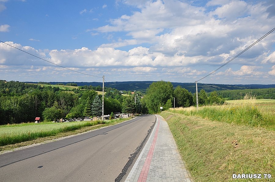 Widok z Sołonka na Lubenia
