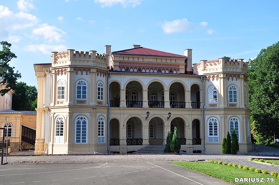Tyczyn - Pałac Wodzickich