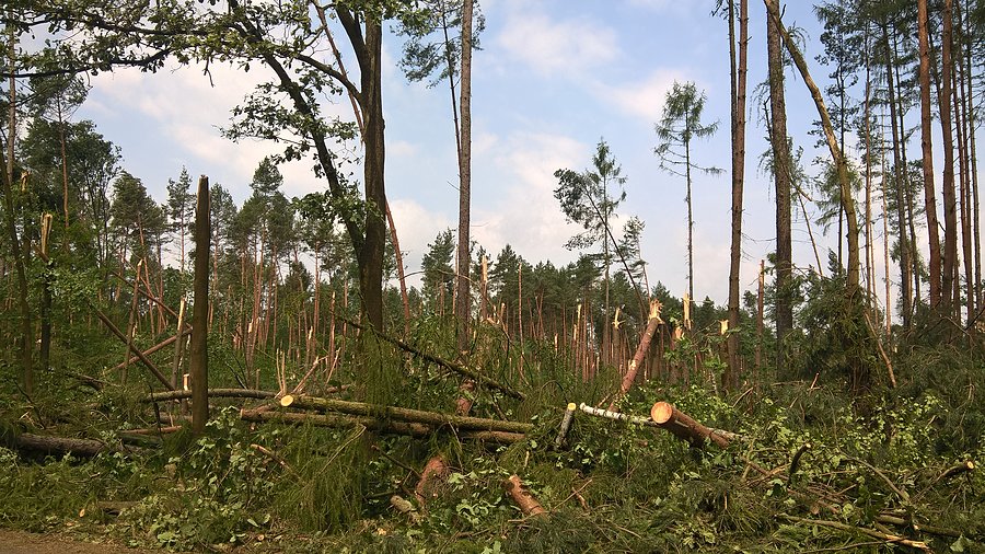 Skutki nawałnicy