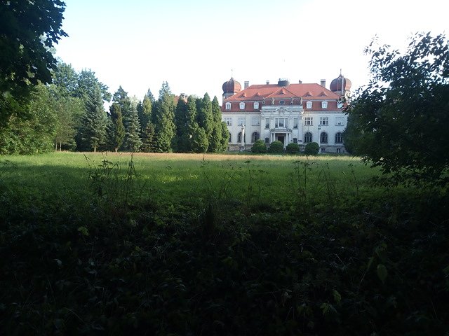 Z kijka