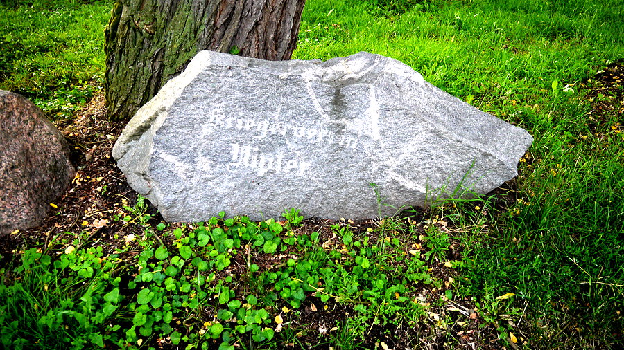 Nietoperek