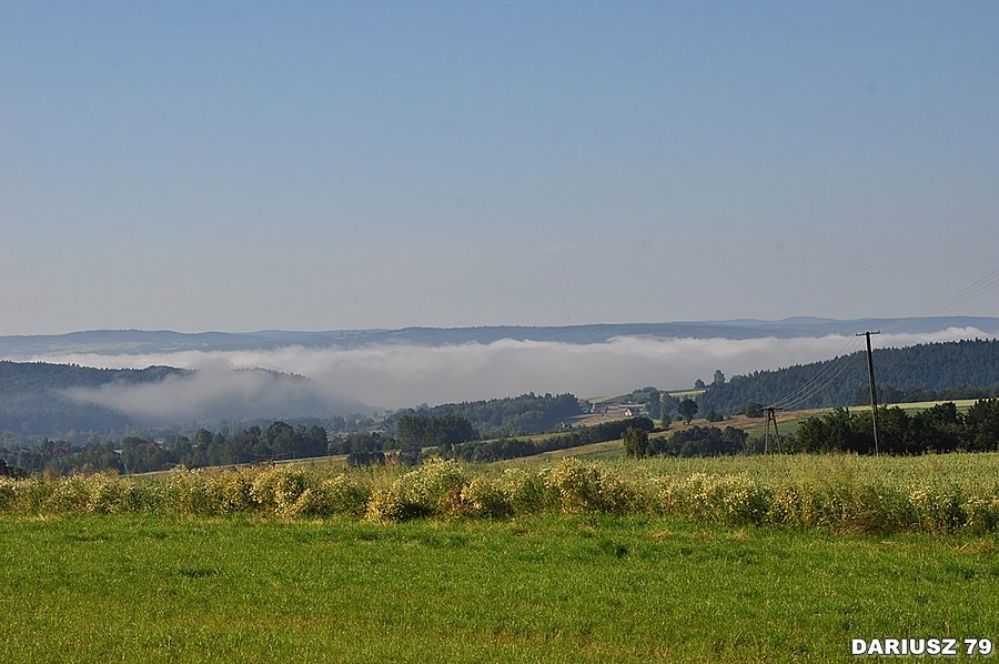 Szklary - Widok w stronę Dynów