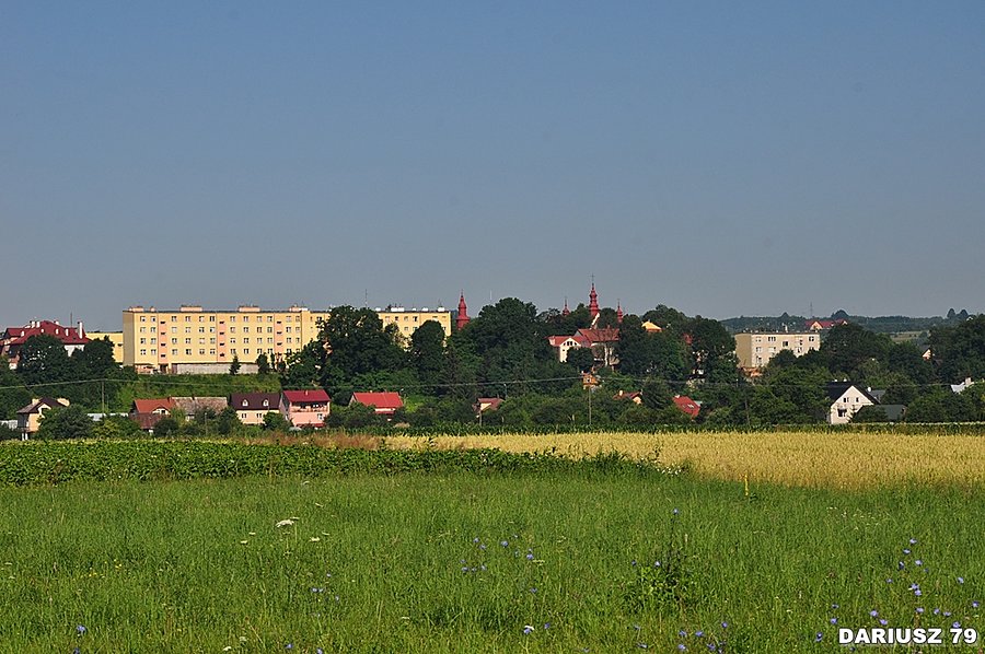 Dynów - Panoramam