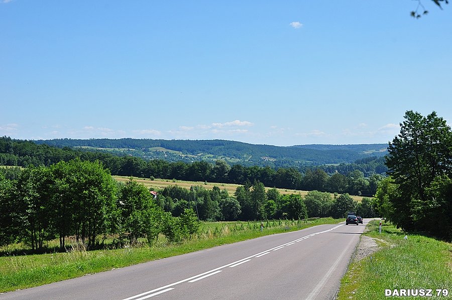 Rzeczpol - Widok w stronę Krasiczyna